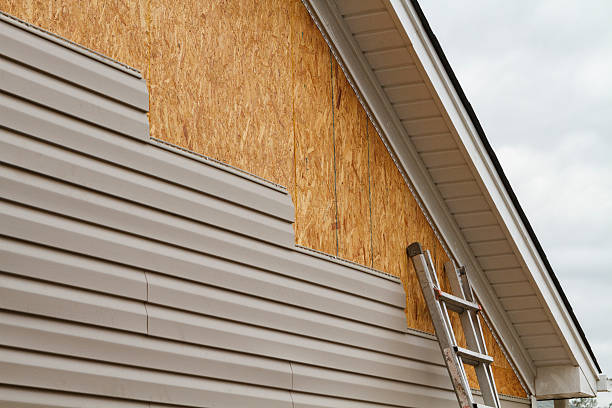 Professional Siding Replacement technician working in Caledonia, MN